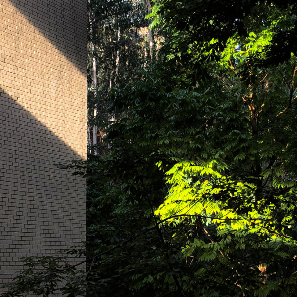 阳光撞了南墙 ​​​