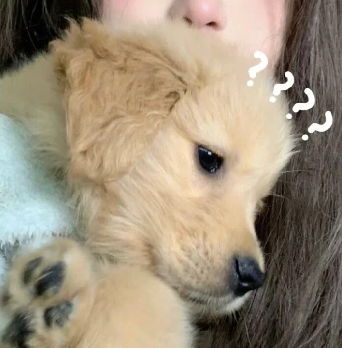 对象不是人系列情头