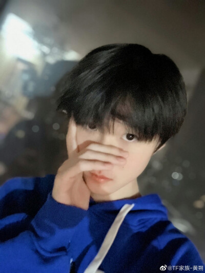 TF家族——黄朔