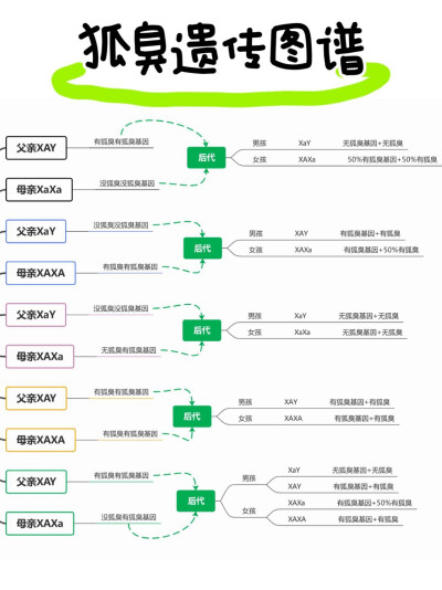 狐臭会遗传给宝宝吗？科普一下，拿走不谢
可能会。狐臭是具有遗传性的。带有狐臭致病基因的第16对染色体的 基因能够编码一种蛋白，这种蛋白非常强大，可以把大分子的有机物 （蛋白质、糖分）分泌到体外，经过细箘的…