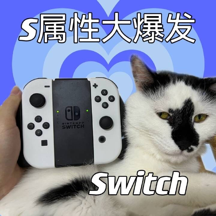 可爱猫猫头