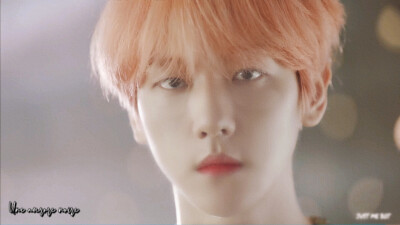 边伯贤橙光素材