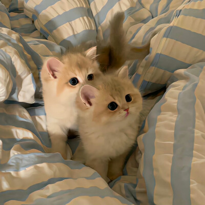 图源ks一支椿
6.30