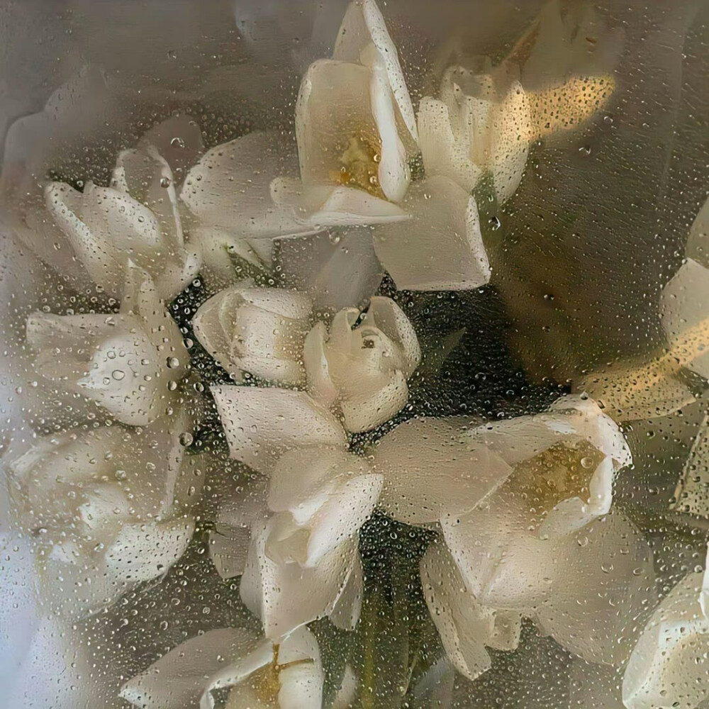 图源ks一支椿
6.26