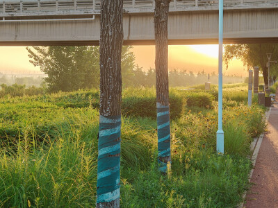 生活是一种飞行，四季是爱的衬景