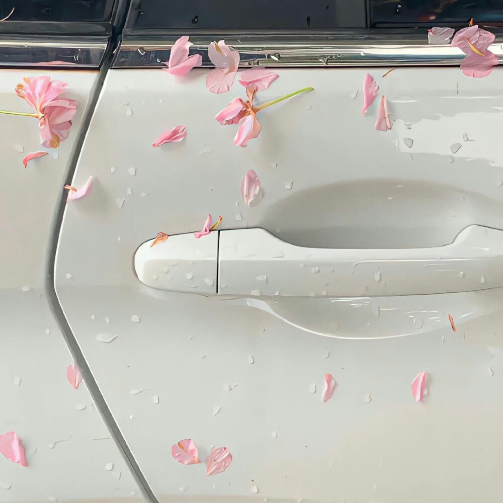 图源ks一支椿
6.26