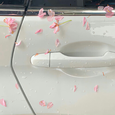 图源ks一支椿
6.26