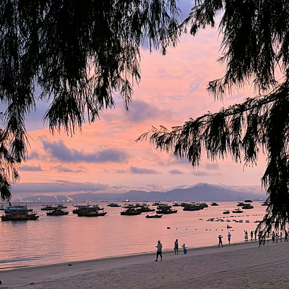 图源ks一支椿
6.26