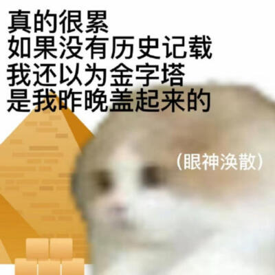 杂七杂八的表情包