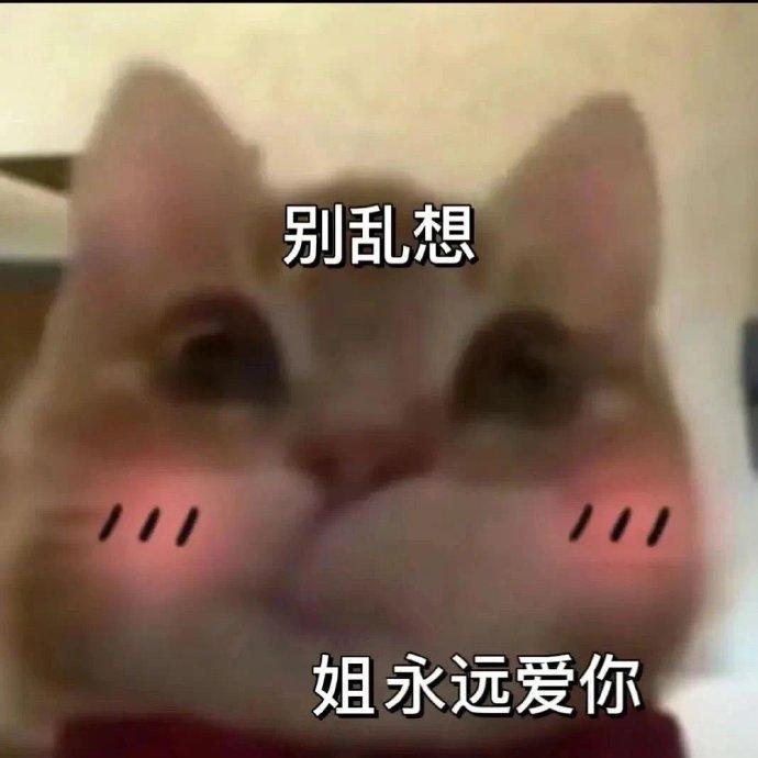 发疯表情包