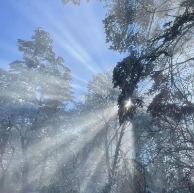 轻舟难过万重山
