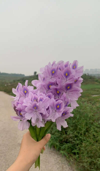 没有谁是长久的靠山.花落花残.人聚又散.总要活的清醒不是吗。