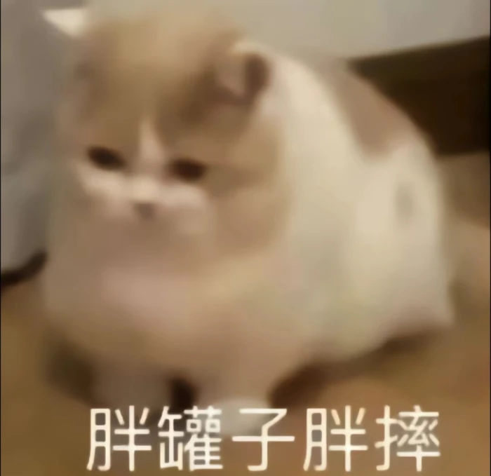 猫猫表情包