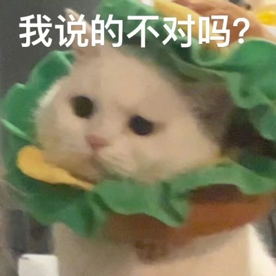 猫猫表情包