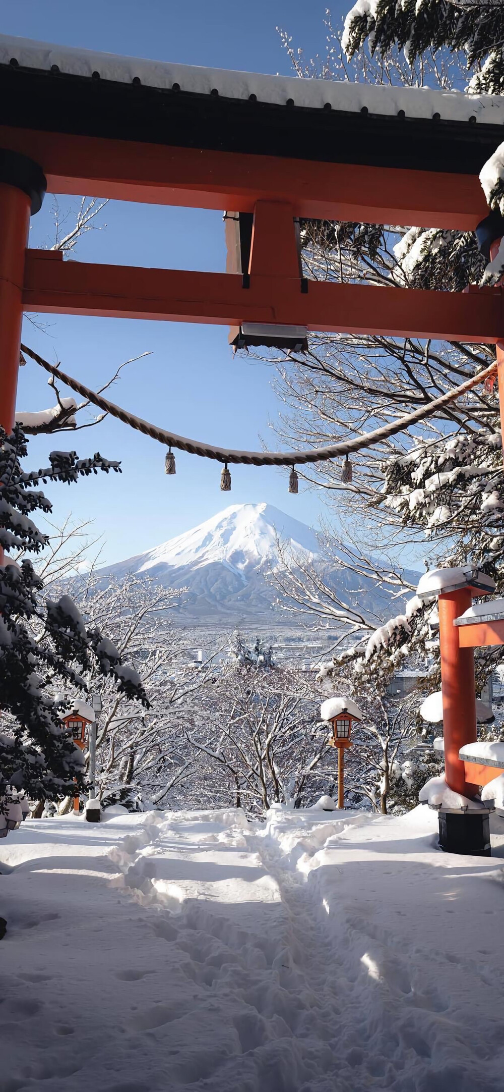 风景