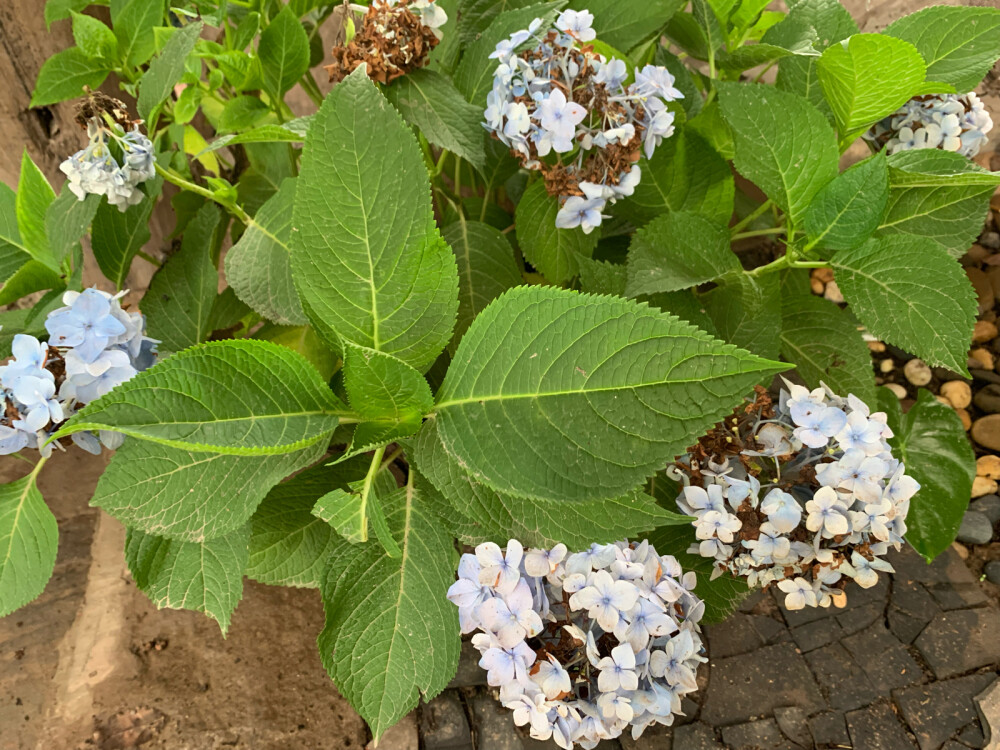 重庆·金刚碑