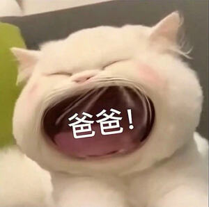 搞怪猫猫表情包