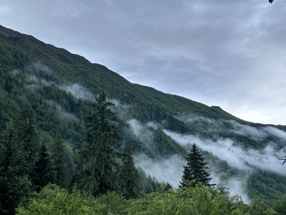 我自去见山