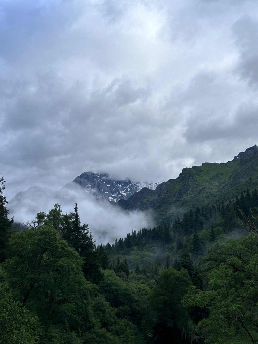 我自去见山