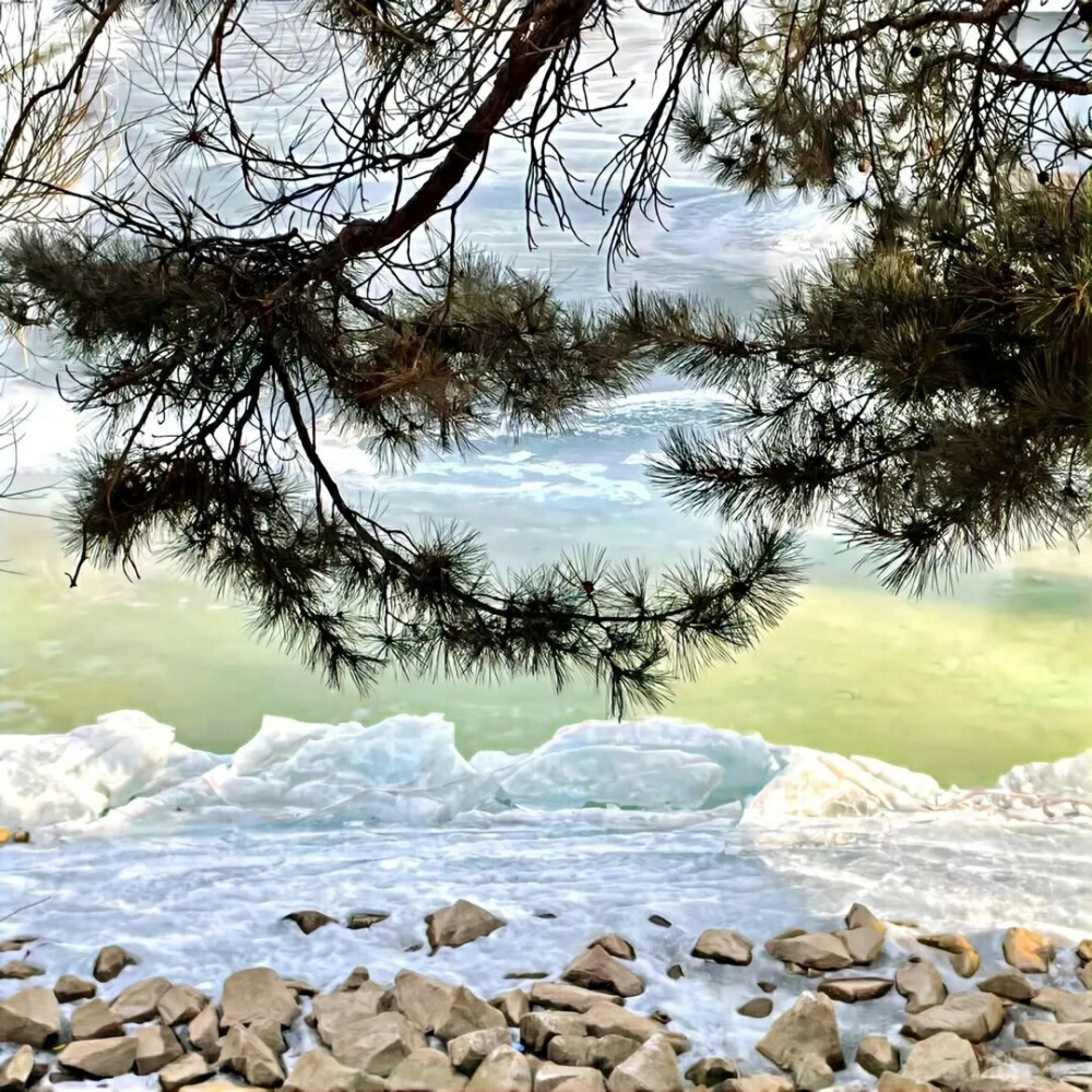 图源ks一支椿
7.5