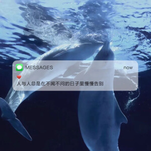 Messages文案 | 朋友圈背景图