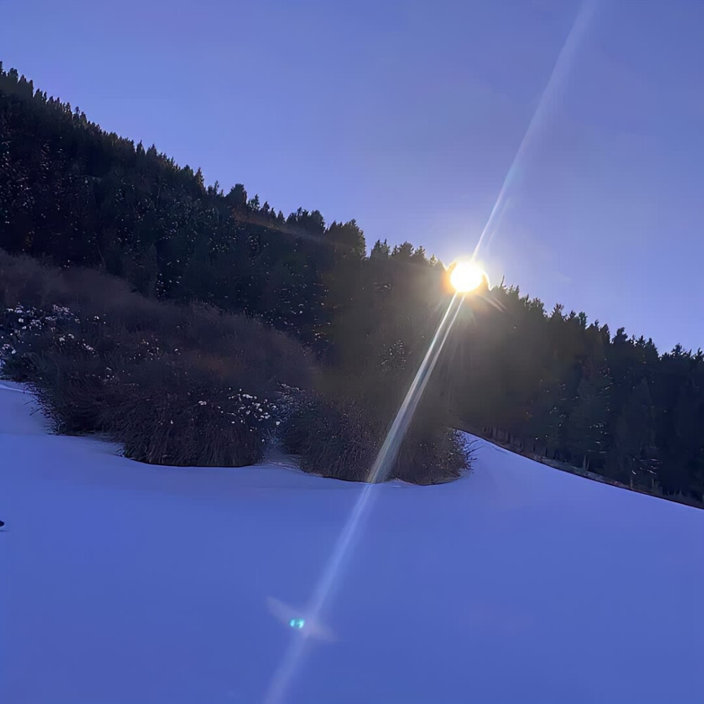 图源ks一支椿
7.5