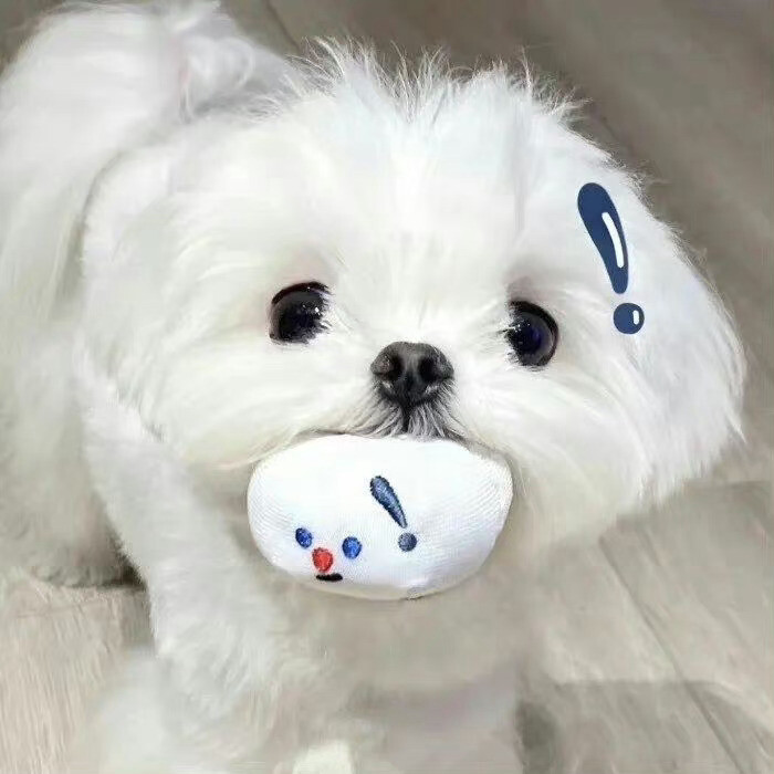 栖迟