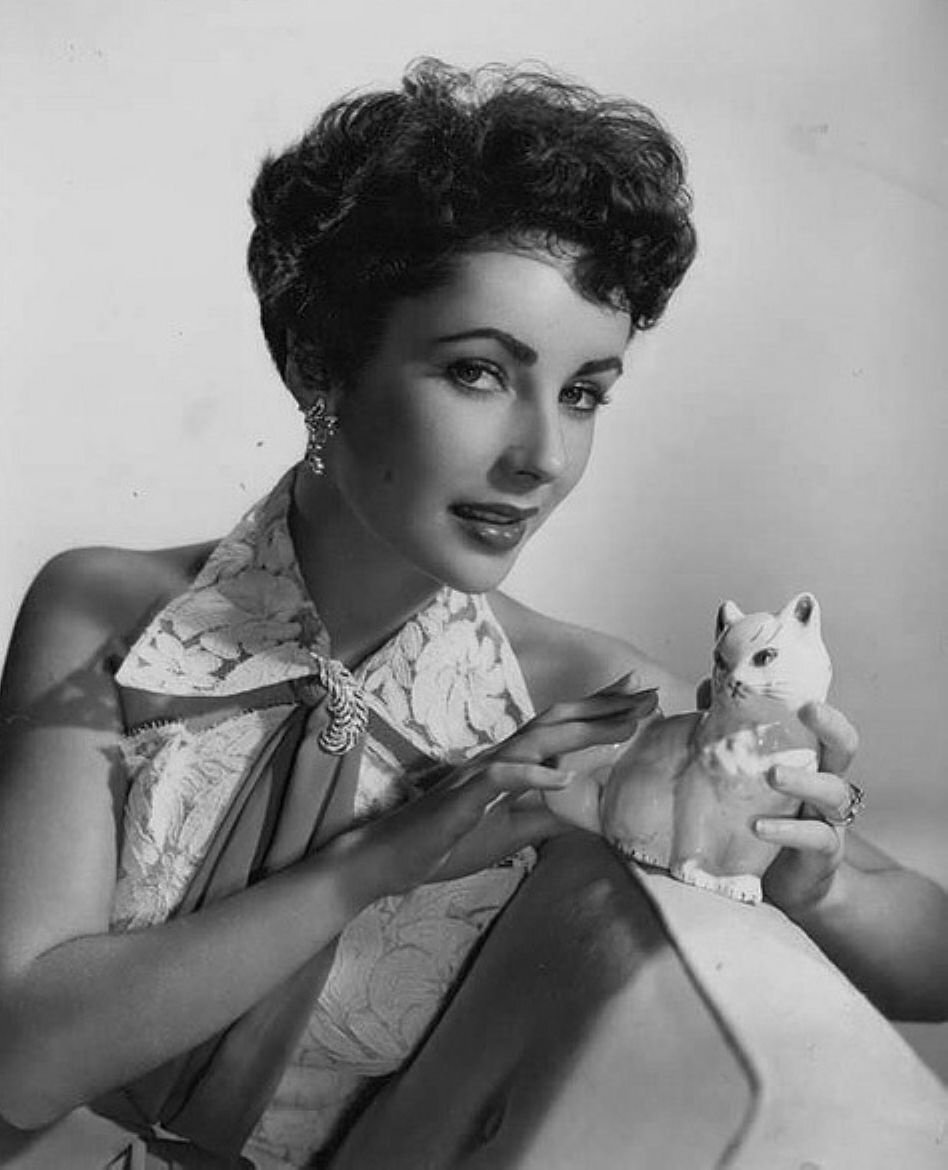 Elizabeth Taylor
伊丽莎白泰勒