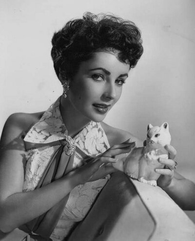 Elizabeth Taylor
伊丽莎白泰勒