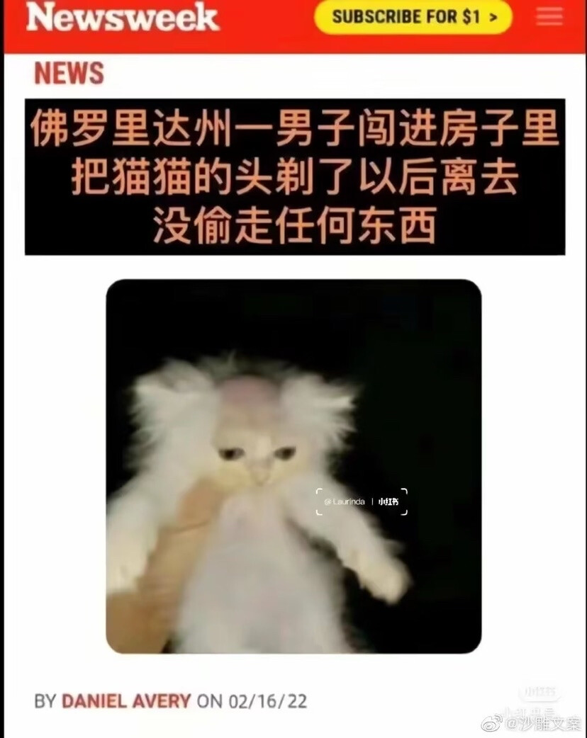 抱歉啊可是