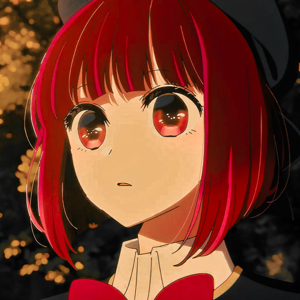 我推的孩子 有马加奈