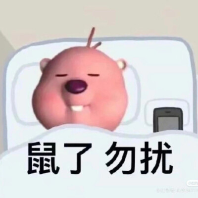 小海狸表情包