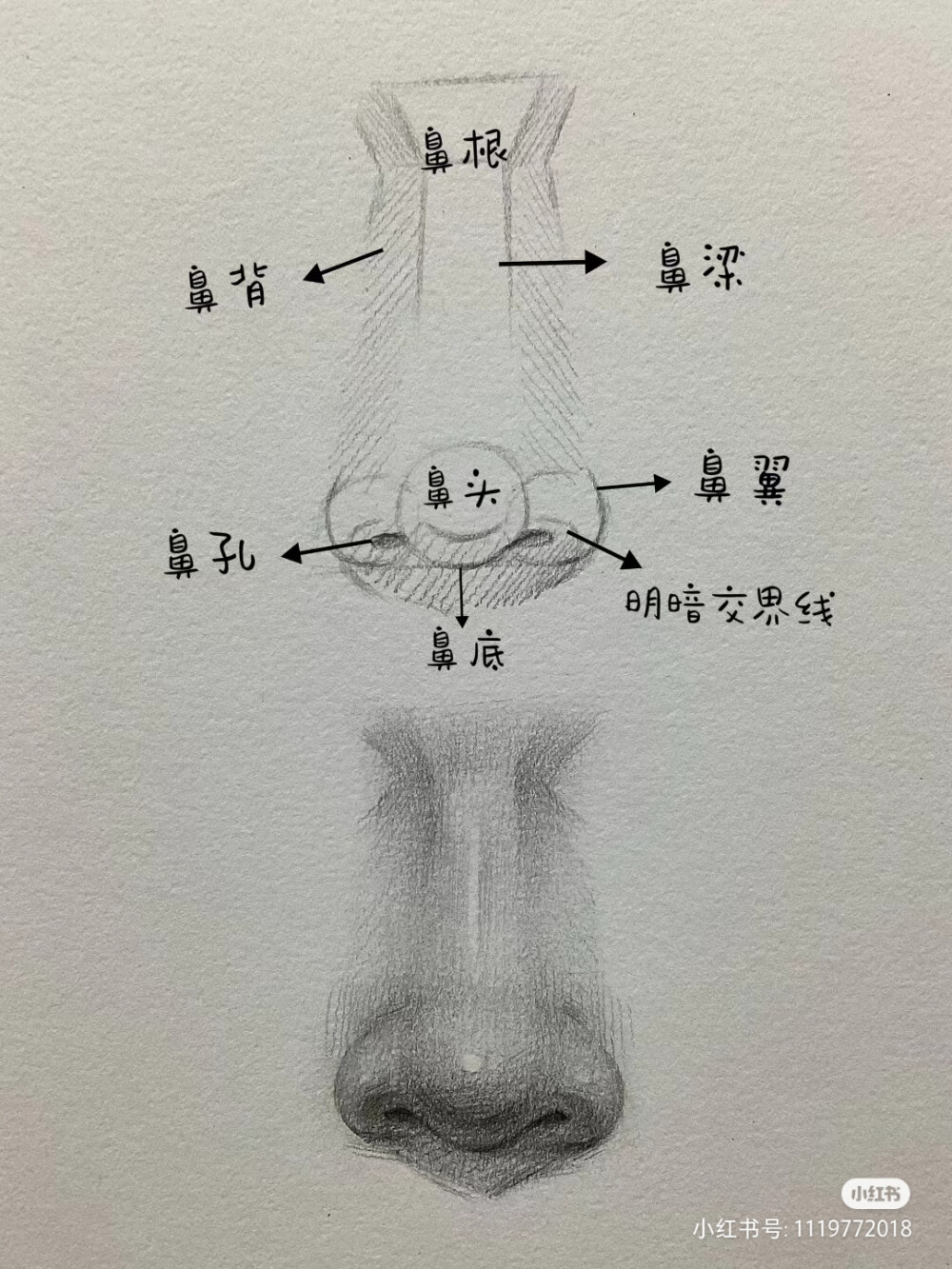 五官教程