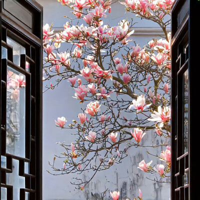WeChat背景图