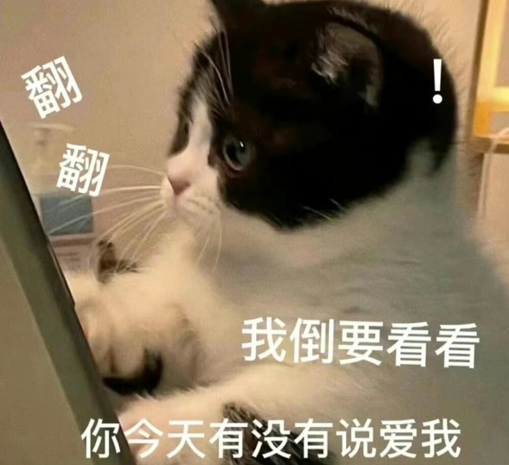 表情包