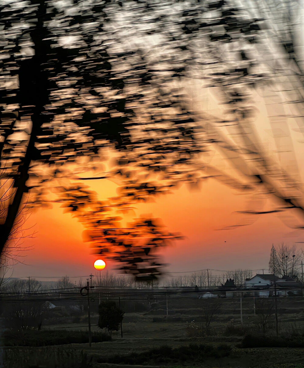 -夕阳和你都想拥有/壁纸