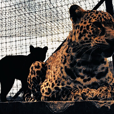 
*标配的主人公Gotta be the real you