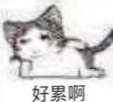 龙