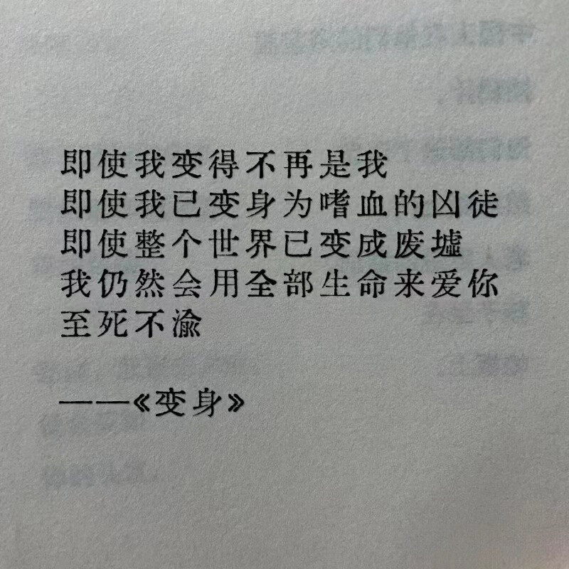 东野圭吾语录背景图
选自书中经典语句
图源:小红书@鬼塚猫
是一位专门分享各类文字语录的大大