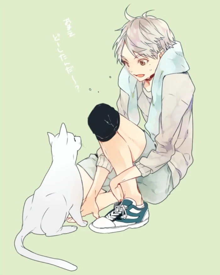 排球少年 菅原孝支