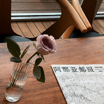 鱼头星星の旅行日记
海棠旁人//虞书欣