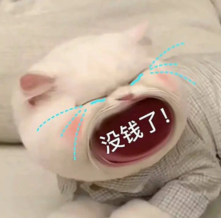 小猫表情包