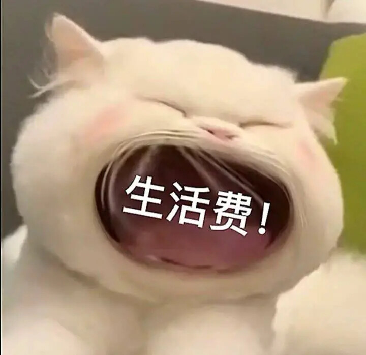 小猫表情包