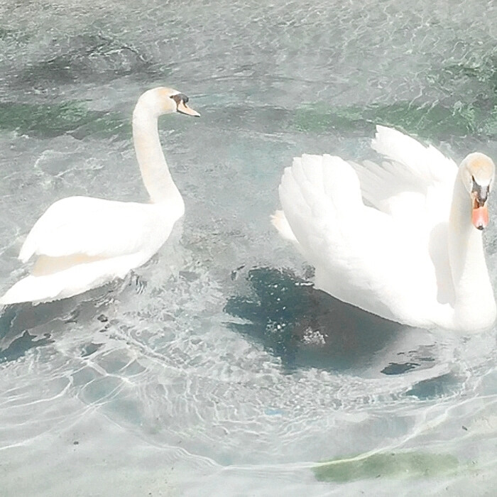 我觉得你很有才华，只不过这个世界上不是每个优秀的人都能被看见。
>
Once_tw