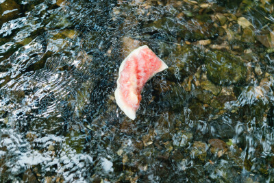 夏天总是要去九溪的
摄影：洪小漩
出镜：菲比和格格等
每年夏天，九溪都是必去之地。
曾经，打车是可以直达九溪烟树的。如今，想要驱车前往，必须提前预约。或是统一乘坐观光车进入。
今日份阿科出差，两个三口…