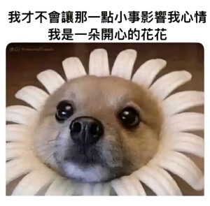 默认专辑