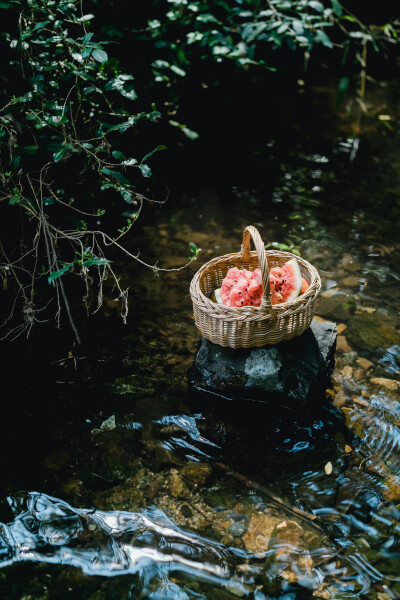 夏天总是要去九溪的
摄影：洪小漩
出镜：菲比和格格等
每年夏天，九溪都是必去之地。
曾经，打车是可以直达九溪烟树的。如今，想要驱车前往，必须提前预约。或是统一乘坐观光车进入。
今日份阿科出差，两个三口…