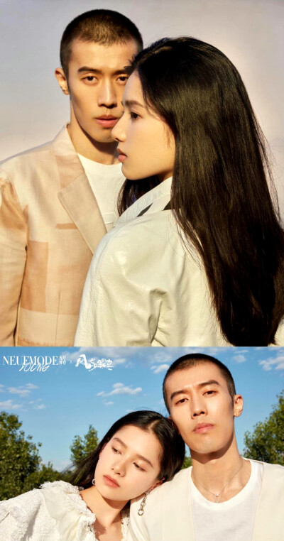 风犬少年的天空