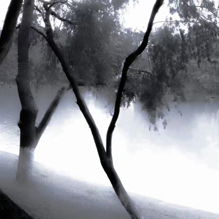 雨天，屋檐，偶遇，不能说的秘密。