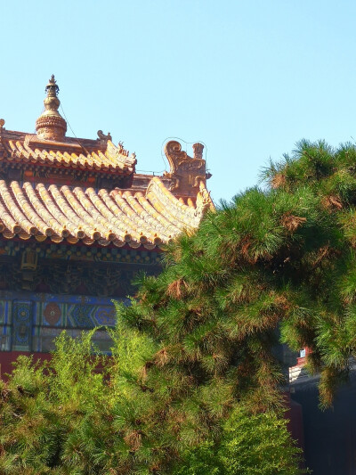 北京